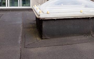 disadvantages of Champson flat roofs