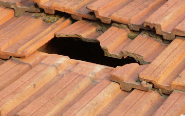 roof repair Champson, Devon